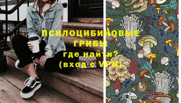apvp Аркадак
