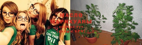 apvp Аркадак