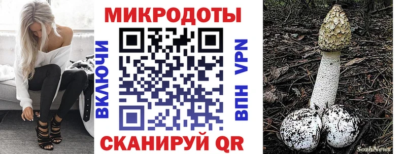 Псилоцибиновые грибы MAGIC MUSHROOMS  Медынь 